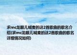 求mc龙眼儿喊麦的这2首歌曲的歌名介绍(求mc龙眼儿喊麦的这2首歌曲的歌名详细情况如何)