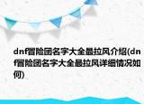 dnf冒险团名字大全最拉风介绍(dnf冒险团名字大全最拉风详细情况如何)