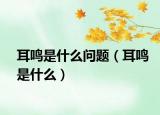 耳鸣是什么问题（耳鸣是什么）