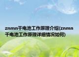 znmn干电池工作原理介绍(znmn干电池工作原理详细情况如何)