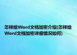 怎样给Word文档加密介绍(怎样给Word文档加密详细情况如何)