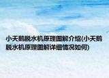 小天鹅脱水机原理图解介绍(小天鹅脱水机原理图解详细情况如何)