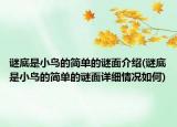 谜底是小鸟的简单的谜面介绍(谜底是小鸟的简单的谜面详细情况如何)