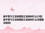 薛平贵与王宝钏里的王金钏叫什么介绍(薛平贵与王宝钏里的王金钏叫什么详细情况如何)