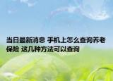 当日最新消息 手机上怎么查询养老保险 这几种方法可以查询