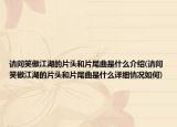 请问笑傲江湖的片头和片尾曲是什么介绍(请问笑傲江湖的片头和片尾曲是什么详细情况如何)