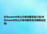 华为mate40怎么升级鸿蒙系统介绍(华为mate40怎么升级鸿蒙系统详细情况如何)
