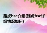 路虎hse介绍(路虎hse详细情况如何)