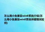 怎么用小鱼重装win8系统介绍(怎么用小鱼重装win8系统详细情况如何)