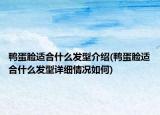 鸭蛋脸适合什么发型介绍(鸭蛋脸适合什么发型详细情况如何)