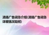 清扬广告词急介绍(清扬广告词急详细情况如何)