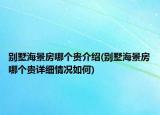 别墅海景房哪个贵介绍(别墅海景房哪个贵详细情况如何)