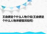王自健是个什么人物介绍(王自健是个什么人物详细情况如何)