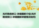 光纤跳线接口-详细图解介绍(光纤跳线接口-详细图解详细情况如何)