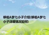 哆啦A梦七小子介绍(哆啦A梦七小子详细情况如何)