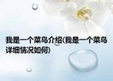 我是一个菜鸟介绍(我是一个菜鸟详细情况如何)