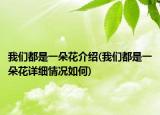 我们都是一朵花介绍(我们都是一朵花详细情况如何)
