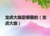 龙虎大旗是哪里的（龙虎大旗）