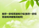 推荐一款经营游戏介绍(推荐一款经营游戏详细情况如何)