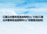 江雁山水雅苑有流浪狗吗\