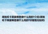 原始哈卡莱披肩是做什么用的?介绍(原始哈卡莱披肩是做什么用的?详细情况如何)