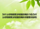 为什么动物园里没有狼的身影介绍(为什么动物园里没有狼的身影详细情况如何)