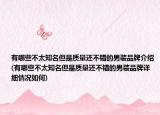 有哪些不太知名但是质量还不错的男装品牌介绍(有哪些不太知名但是质量还不错的男装品牌详细情况如何)