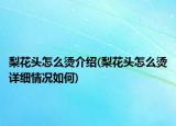 梨花头怎么烫介绍(梨花头怎么烫详细情况如何)