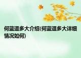 何蓝逗多大介绍(何蓝逗多大详细情况如何)