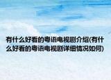 有什么好看的粤语电视剧介绍(有什么好看的粤语电视剧详细情况如何)