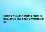 你相信支付宝支付还是微信支付介绍(你相信支付宝支付还是微信支付详细情况如何)