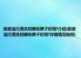 厨房油污清洗剂哪些牌子好用?介绍(厨房油污清洗剂哪些牌子好用?详细情况如何)