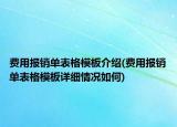费用报销单表格模板介绍(费用报销单表格模板详细情况如何)