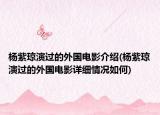 杨紫琼演过的外国电影介绍(杨紫琼演过的外国电影详细情况如何)