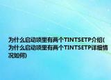 为什么启动项里有两个TINTSETP介绍(为什么启动项里有两个TINTSETP详细情况如何)
