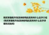 精武英雄陈真饰演徐阿鸡的演员叫什么名字介绍(精武英雄陈真饰演徐阿鸡的演员叫什么名字详细情况如何)