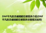 DNF平凡的灵魂精髓在哪里弄介绍(DNF平凡的灵魂精髓在哪里弄详细情况如何)