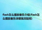 flash怎么播放音乐介绍(flash怎么播放音乐详细情况如何)