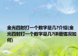 金光四射打一个数字是几?介绍(金光四射打一个数字是几?详细情况如何)