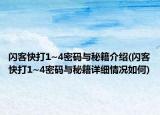 闪客快打1~4密码与秘籍介绍(闪客快打1~4密码与秘籍详细情况如何)