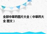 全部中草药图片大全（中草药大全 图文）