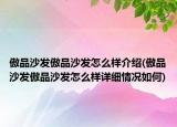 傲品沙发傲品沙发怎么样介绍(傲品沙发傲品沙发怎么样详细情况如何)