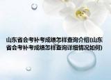 山东省会考补考成绩怎样查询介绍(山东省会考补考成绩怎样查询详细情况如何)