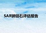 SAR钠铝石评估报告