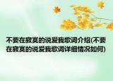 不要在寂寞的说爱我歌词介绍(不要在寂寞的说爱我歌词详细情况如何)