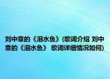 刘中意的《泪水鱼》(歌词介绍 刘中意的《泪水鱼》 歌词详细情况如何)