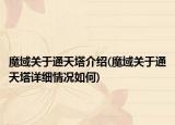 魔域关于通天塔介绍(魔域关于通天塔详细情况如何)