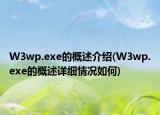 W3wp.exe的概述介绍(W3wp.exe的概述详细情况如何)