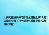 大闹天空甄子丹电影什么时候上映?介绍(大闹天空甄子丹电影什么时候上映?详细情况如何)