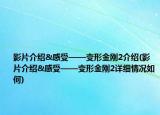 影片介绍&感受——变形金刚2介绍(影片介绍&感受——变形金刚2详细情况如何)